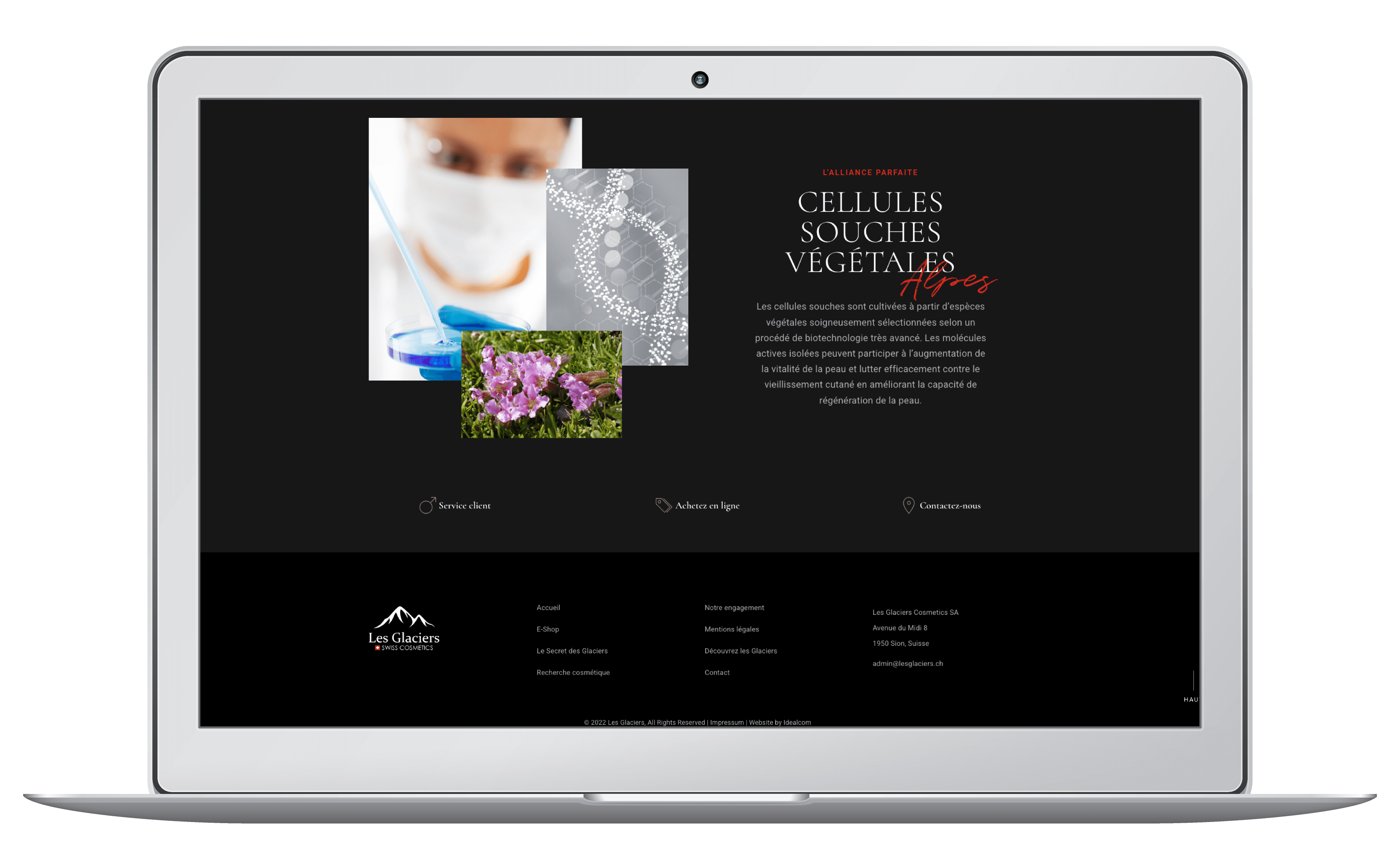 Lancement d'une entreprise de cosmétique suisse. Graphisme, marque et site internet wordpress