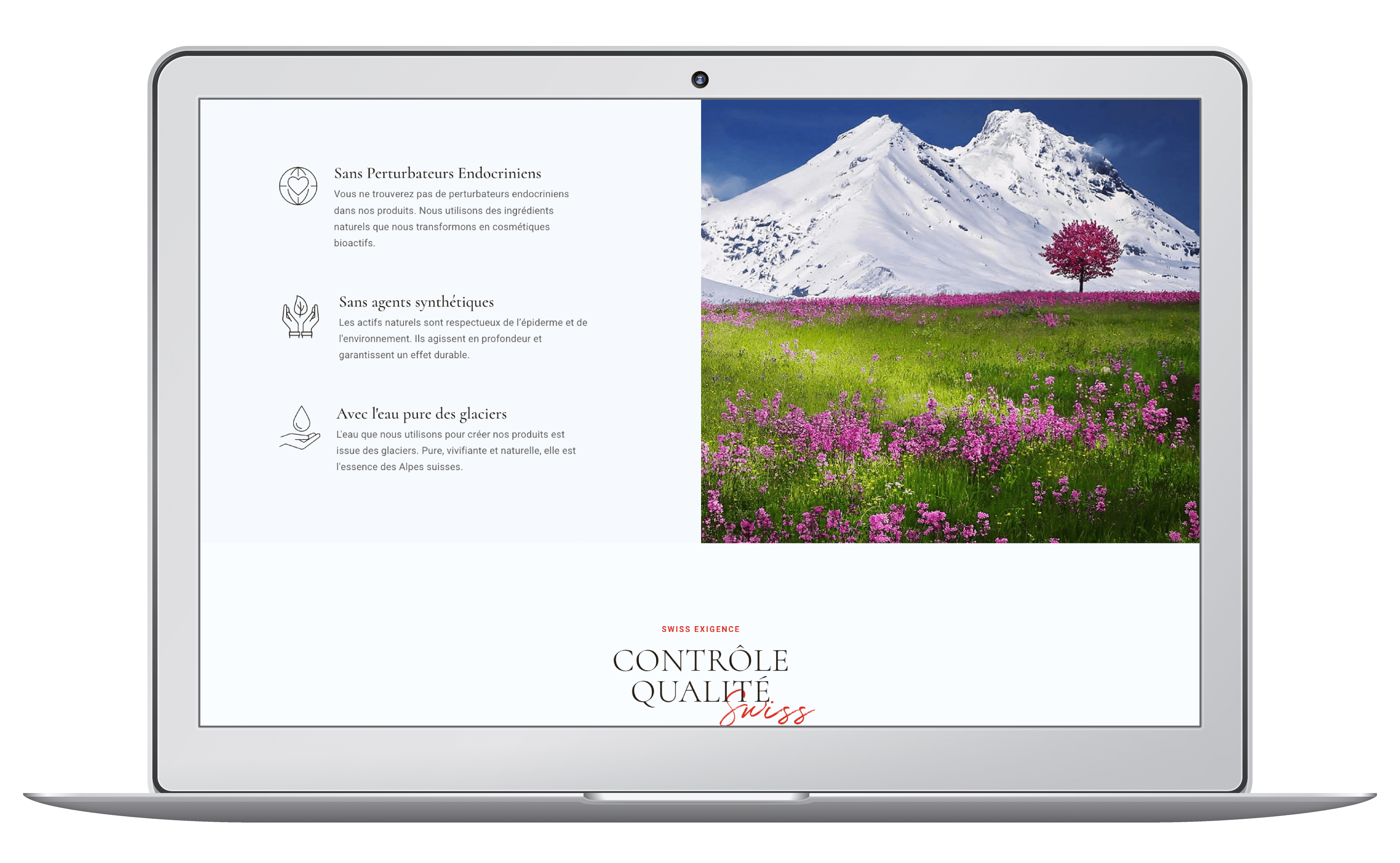 Lancement d'une entreprise de cosmétique suisse. Graphisme, marque et site internet wordpress